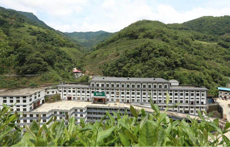 紫阳县和平茶叶有限公司