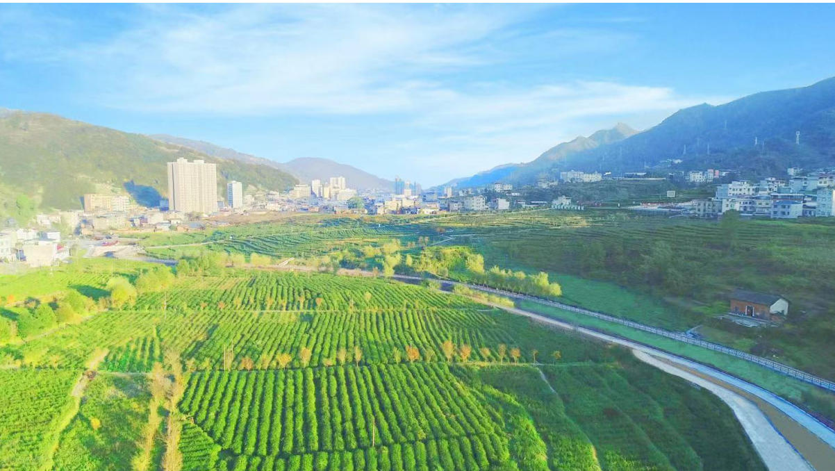 紫阳县玄昌富硒食品有限公司